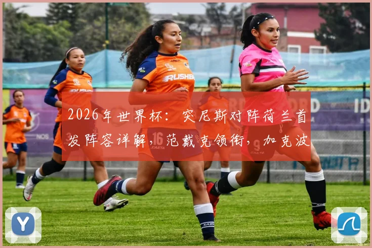 2026年世界杯：突尼斯对阵荷兰首发阵容详解，范戴克领衔，加克波、马伦、布罗比出战