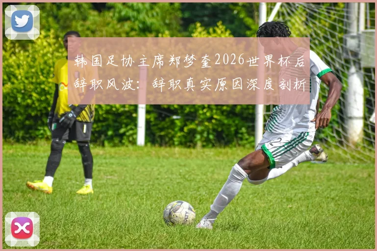韩国足协主席郑梦奎2026世界杯后辞职风波：辞职真实原因深度剖析及对韩国足球未来发展的深远影响